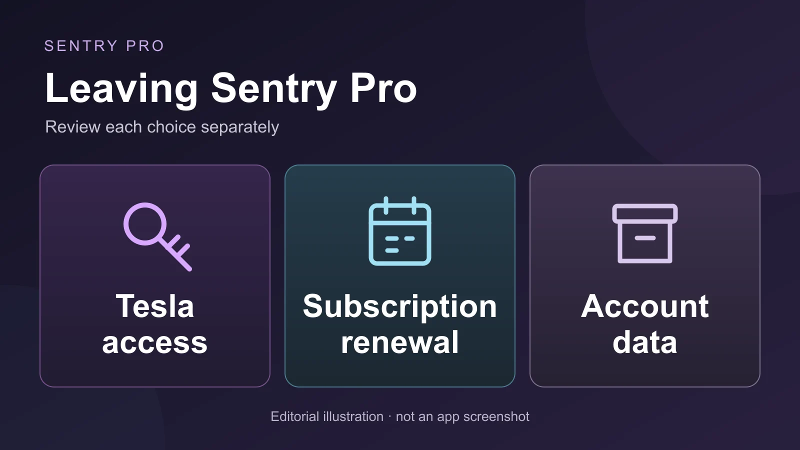 Illustration of three separate choices: Tesla access, subscription renewal and account data.