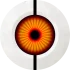 Sentry Pro Icon